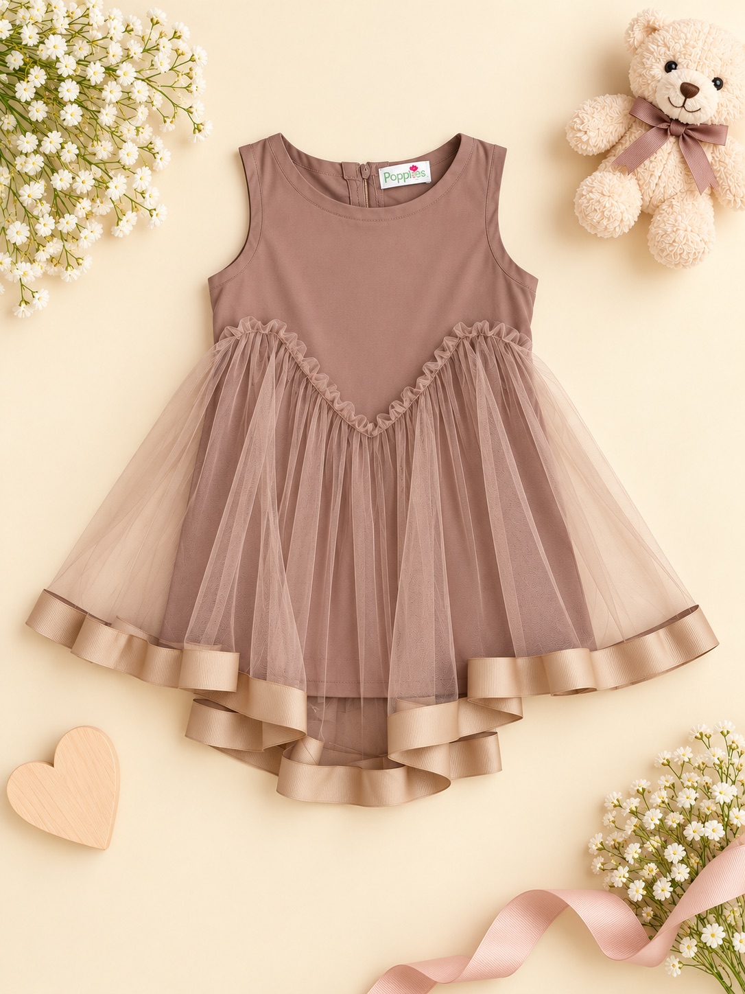 Blush Ribbon Tulle Frock